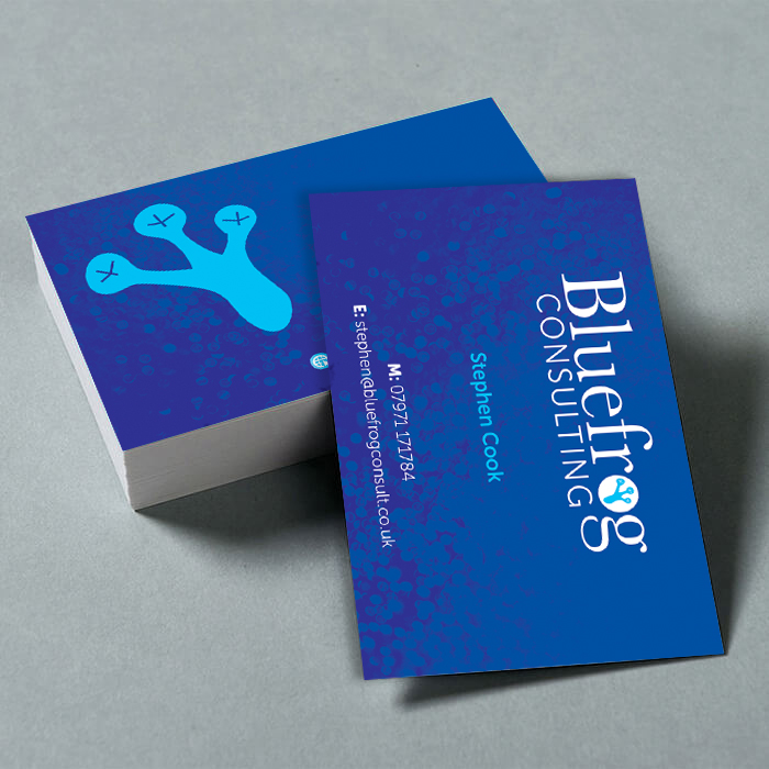 Bluefrog Consulting Business Card example
